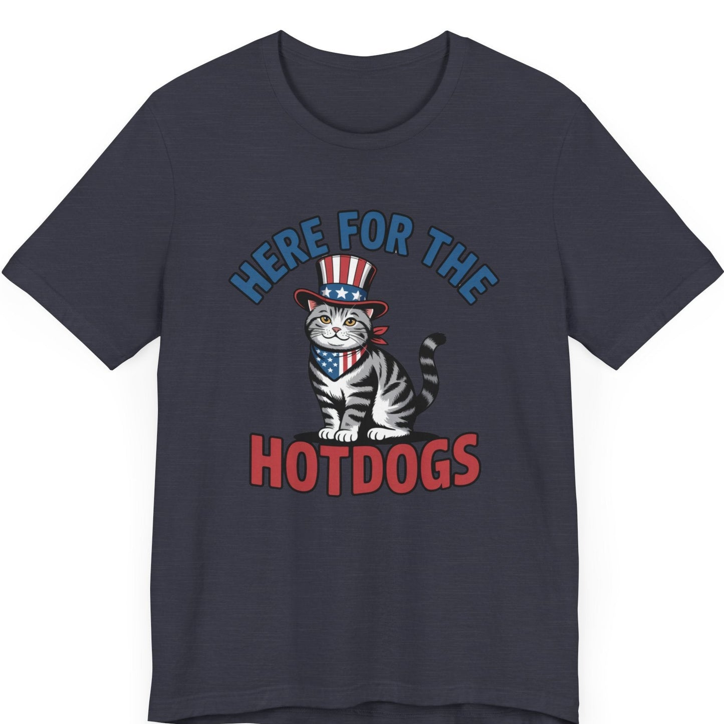Tabby cat with uncle sam hat on and the words ere for the hot dogs