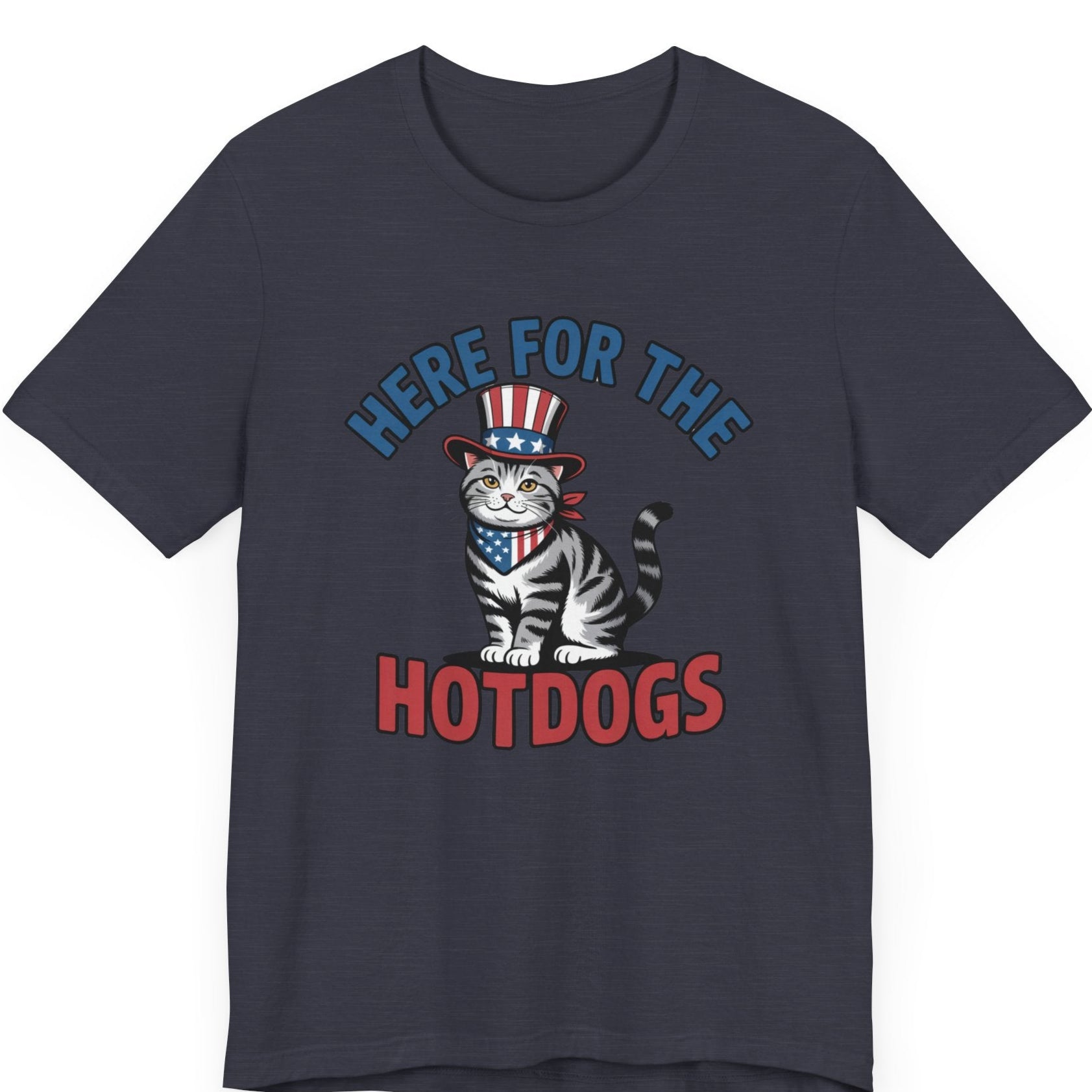 Tabby cat with uncle sam hat on and the words ere for the hot dogs